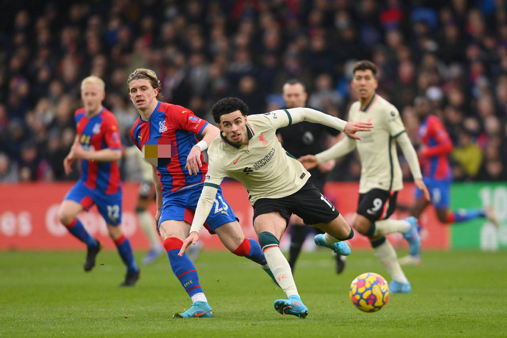 也对球队的 也对球队的